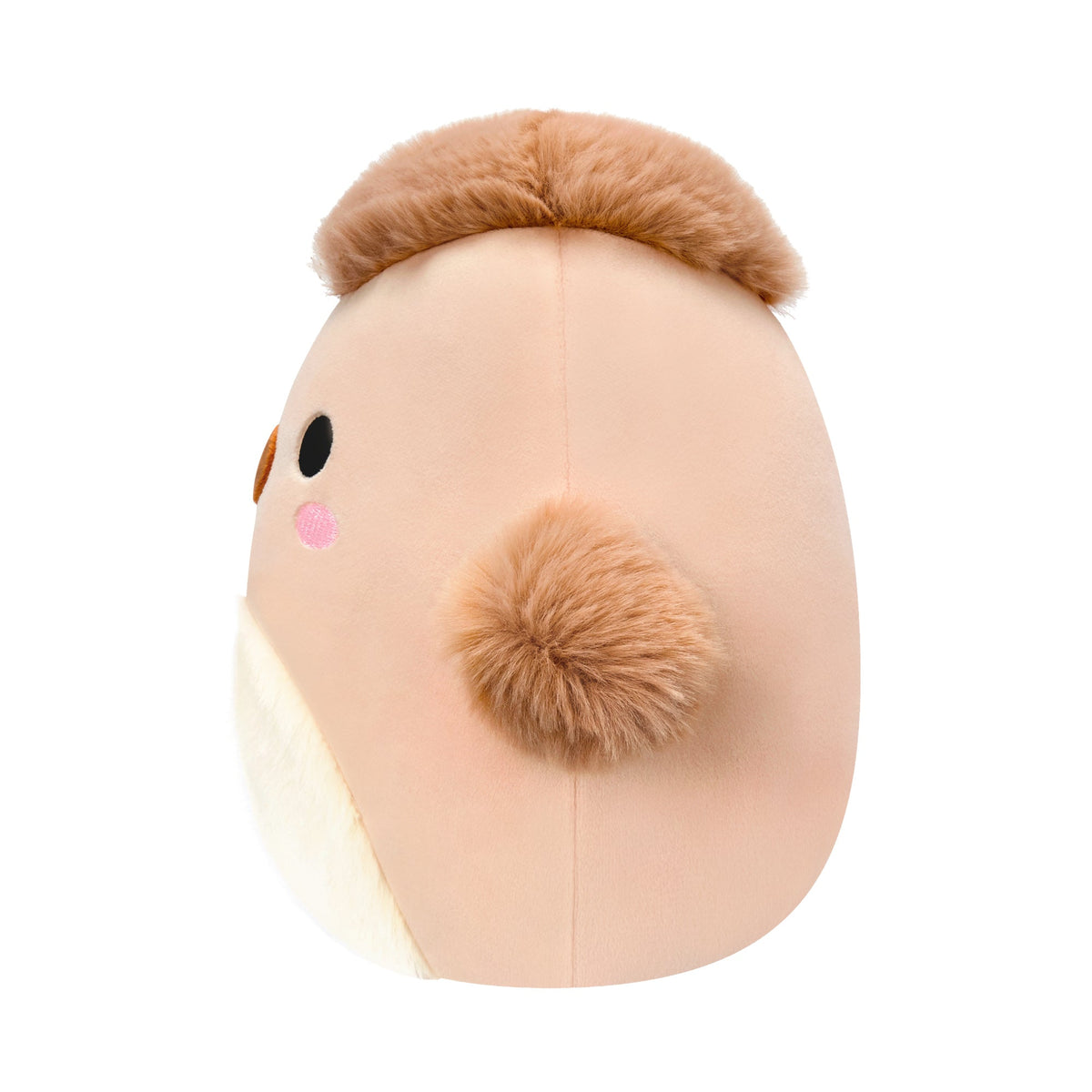 Squishmallows 8" Select Series Cordell the Tan Cockatoo | Jazwares