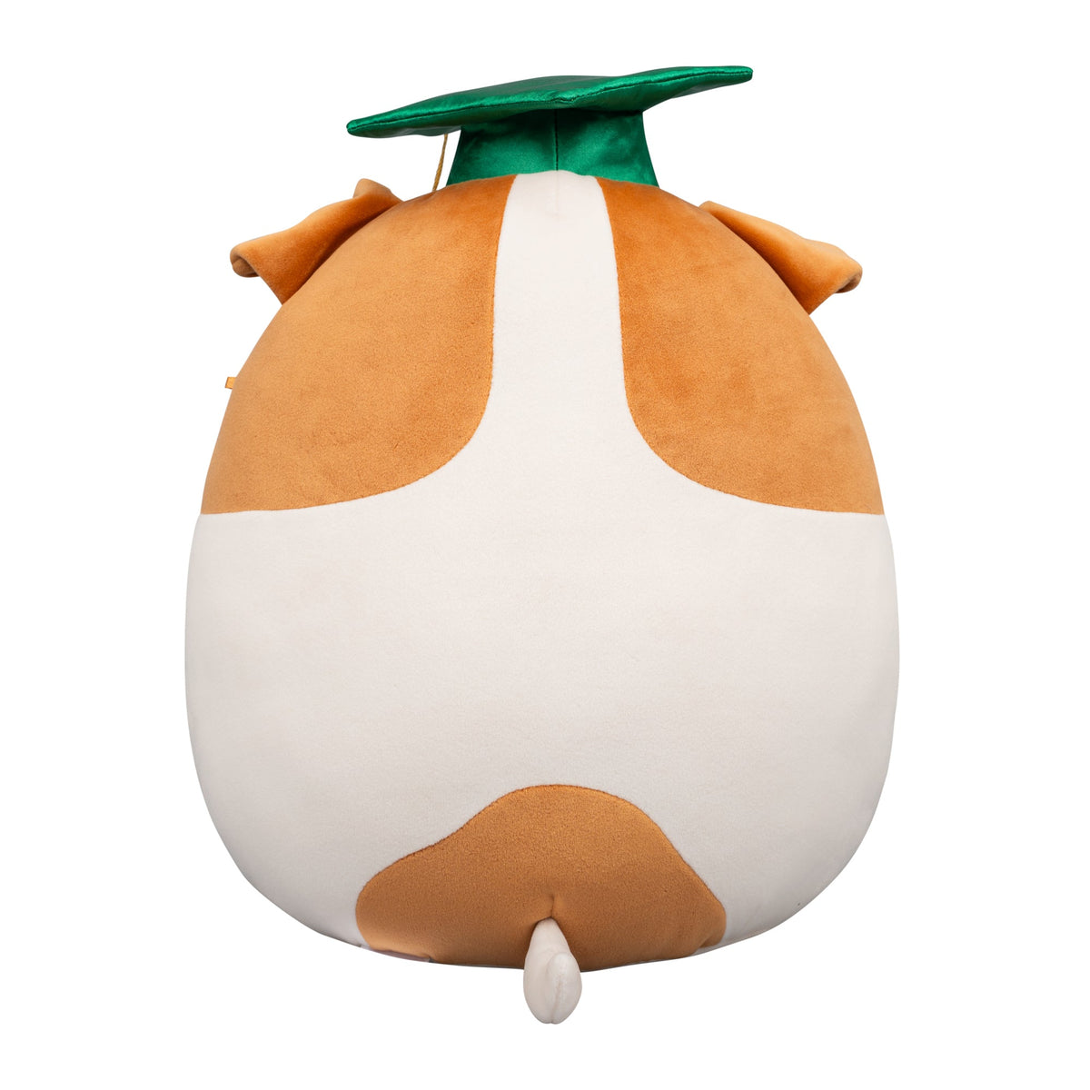 Squishmallows 12" Brenden the Jack Russell Terrier with Green Graduation | Jazwares