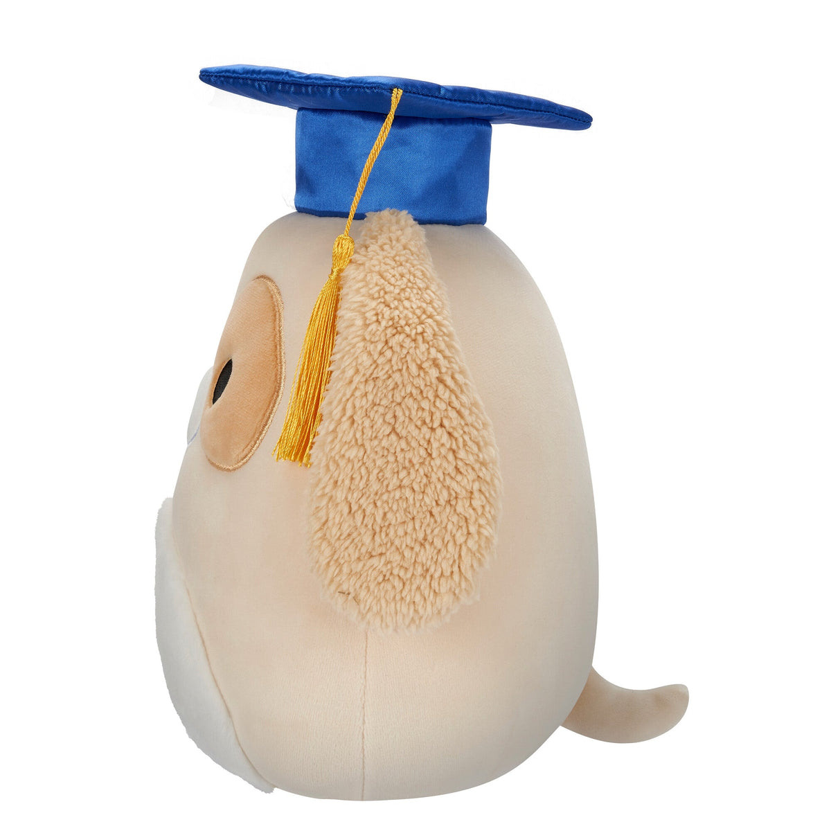 Squishmallows 8" Harris the Brown Spotted Dog in Graduation Cap | Jazwares