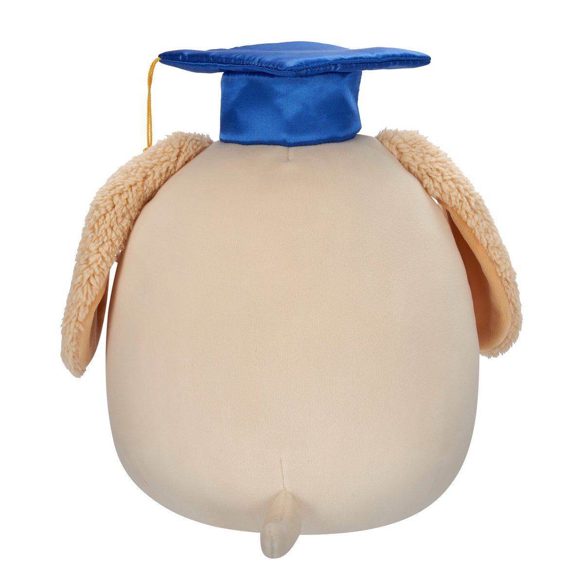 Squishmallows 8" Harris the Brown Spotted Dog in Graduation Cap | Jazwares