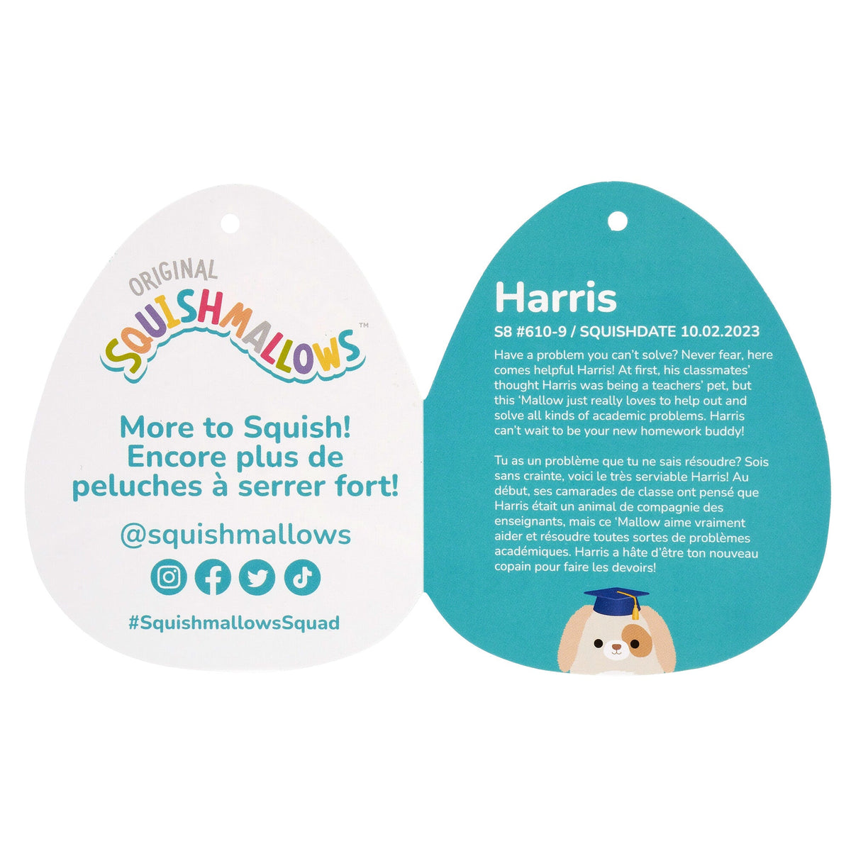 Squishmallows 8" Harris the Brown Spotted Dog in Graduation Cap | Jazwares