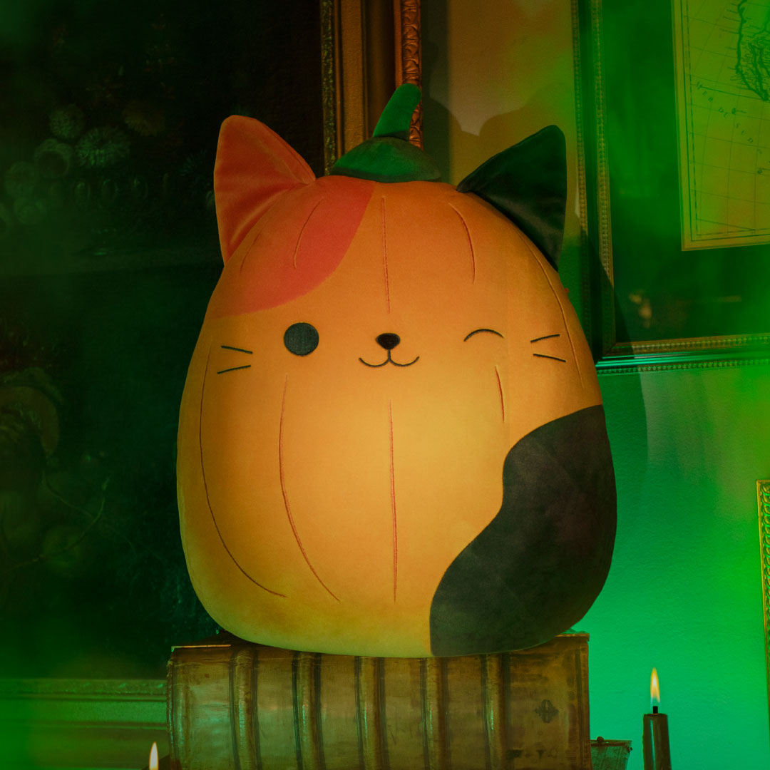 Squishmallows Pumpkin Cam | Jazwares