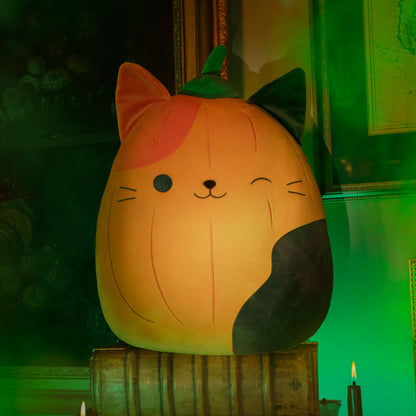 Squishmallows Pumpkin Cam | Jazwares