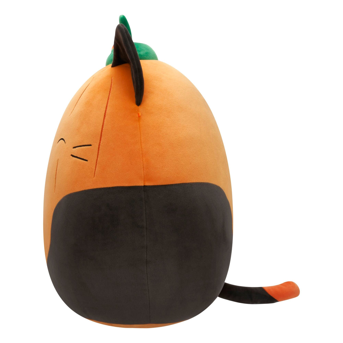 Squishmallows Pumpkin Cam | Jazwares