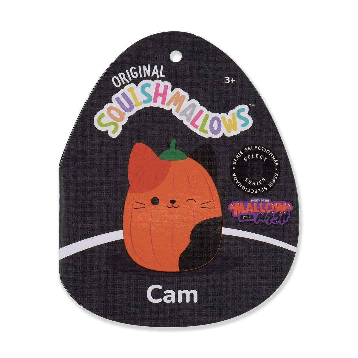 Squishmallows Pumpkin Cam | Jazwares