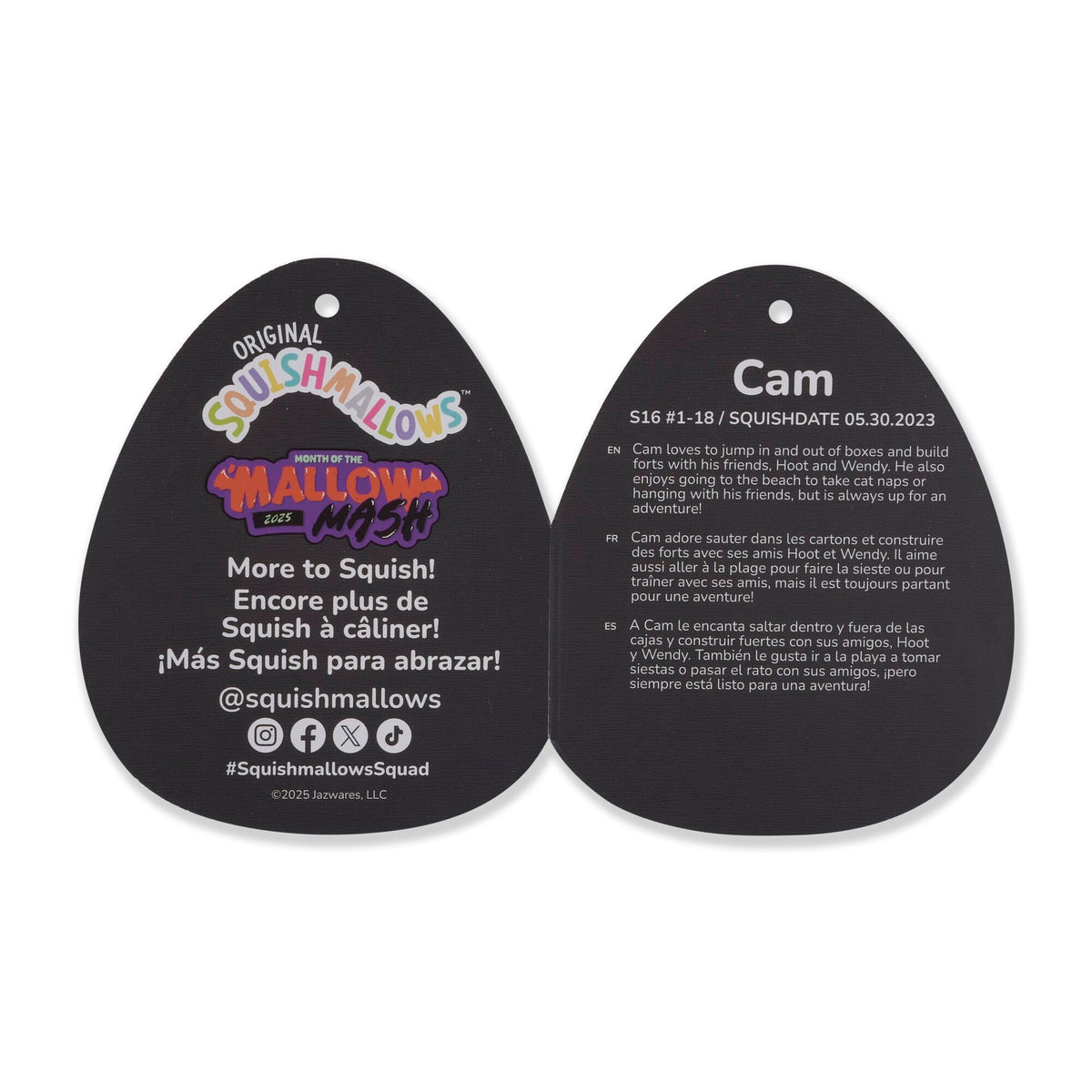 Squishmallows Pumpkin Cam | Jazwares